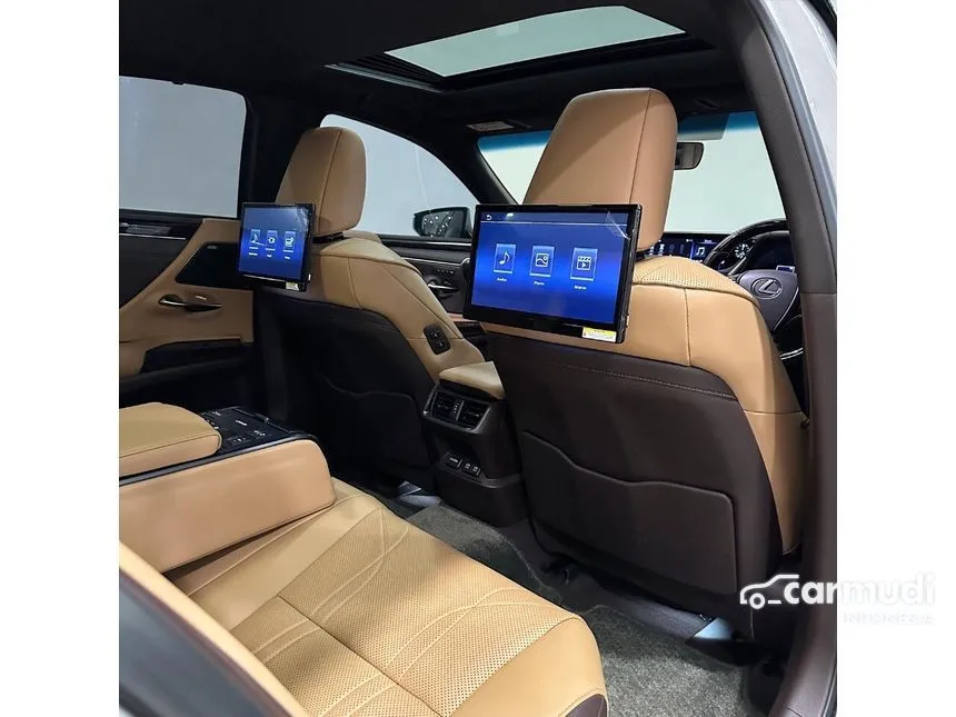 2019 Lexus ES250 Ultra Luxury Sedan