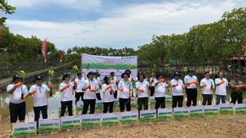 Toyota Forest Tanam 60 Ribu Pohon Bakau di Brebes