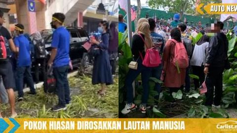 Pokok Tepi Jalan Dirosakkan, DBKL Kesal Tindakan Segelintir Pengunjung Sambut Merdeka