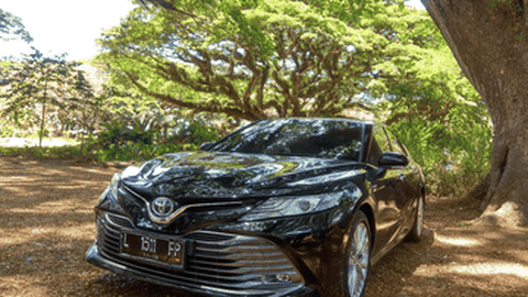 Toyota Ungkap 3 Kekhawatiran Konsumen Soal Mobil Hybrid