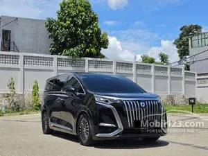 2025 Denza D9 Advanced MPV