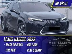 2022 Lexus UX 300e SUV