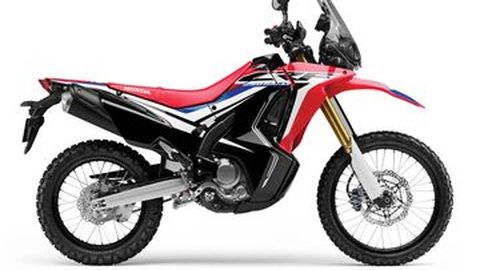 Honda CRF250L Rally Bakal Jadi Africa Twin Mini