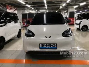 2024 Wuling Binguo EV 333 Long Range AC/DC Hatchback