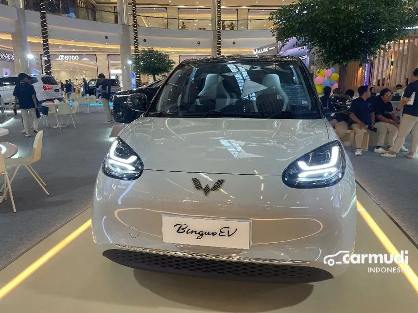 2024 Wuling Binguo EV Premium Range Hatchback