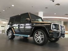 2017 Mercedes-Benz G63 AMG 5.5 W463 SUV