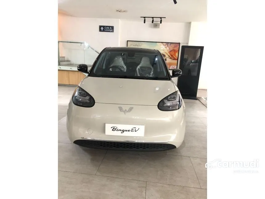 2024 Wuling Binguo EV 333 Long Range AC/DC Hatchback