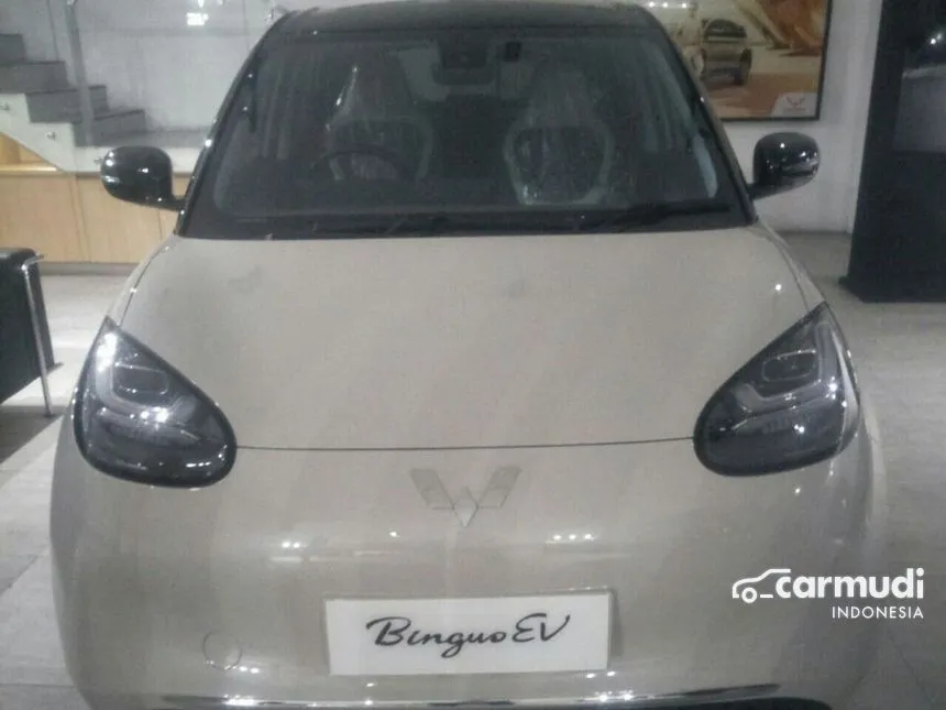 2024 Wuling Binguo EV Premium Range Hatchback