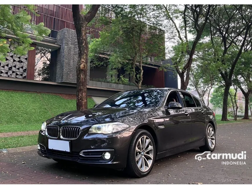 2015 BMW 520i Luxury Sedan