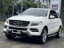 2015 Mercedes-Benz ML250 2.1 CDI SUV BANTING HARGA TERMURAH