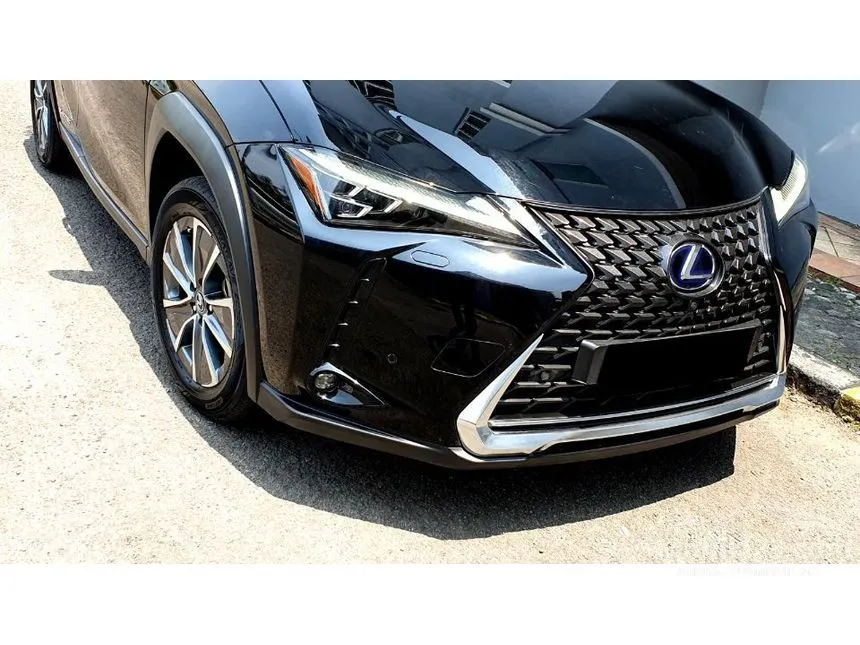 2022 Lexus UX 300e SUV